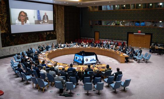 联合国安理会召开会议讨论叙利亚局势。